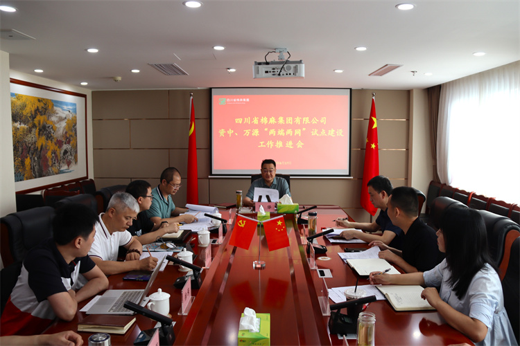 鄧華主持召開資中、萬源“兩端兩網(wǎng)”試點(diǎn)建設(shè)工作推進(jìn)會