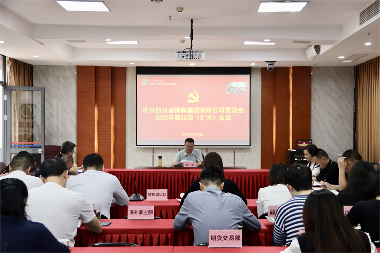 集團(tuán)公司召開2023年第26次黨委（擴大）會議