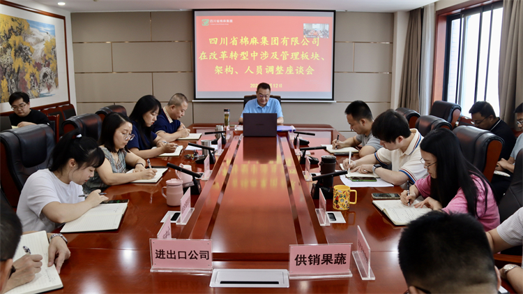集團公司召開在改革轉(zhuǎn)型中涉及管理板塊、架構(gòu)、人員調(diào)整座談會