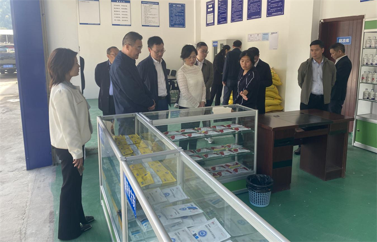 四川省供銷社黨組成員、理事會副主任、一級巡視員楊武秀帶隊(duì)到萬源調(diào)研集團(tuán)舊院黑雞產(chǎn)業(yè)發(fā)展工作