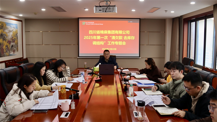 集團公司召開2025年第一次“清欠款、去庫存、調(diào)結構”工作專題會